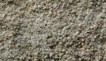 oolitic_limestone.jpg